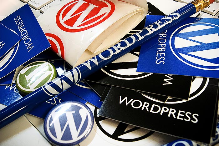 Продвижение сайтов на Вордпресс, раскрутка веб сайта Wordpress
